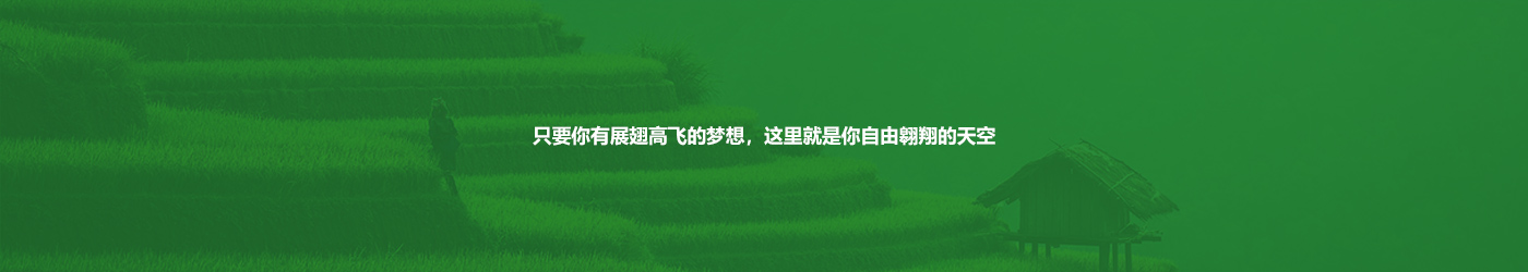 俄罗斯专享会294·VIP(中国区)官方网站