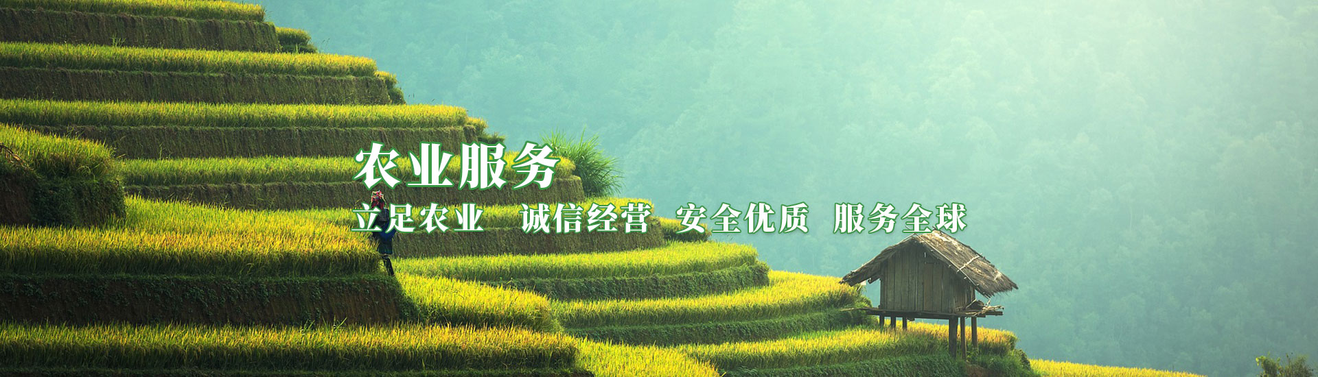 俄罗斯专享会294·VIP(中国区)官方网站