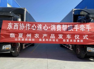 临夏俄罗斯专享会294集团进杏装器材合作心连心·消费助扶手牵手”农产品发车典礼